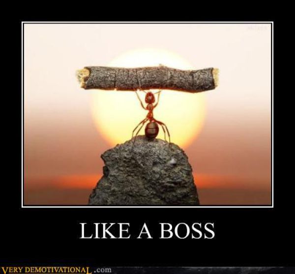 Funny Demotivational Posters (50 pics)