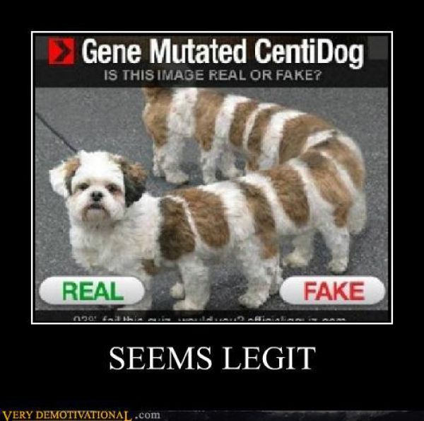 Funny Demotivational Posters (50 pics)