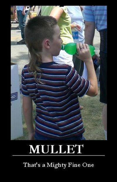 The Greatest Mullets Ever. Part 2 (48 pics)