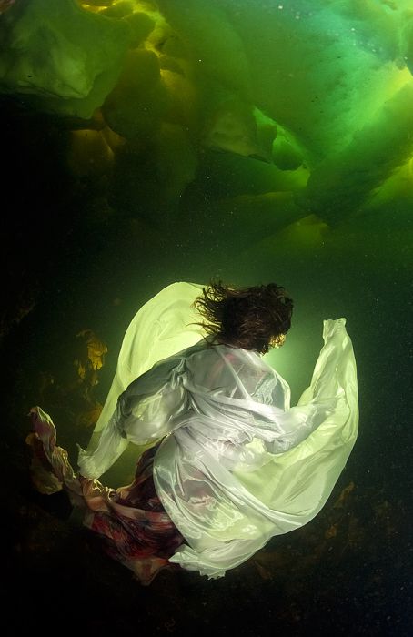 Underwater World of the White Sea (40 pics)