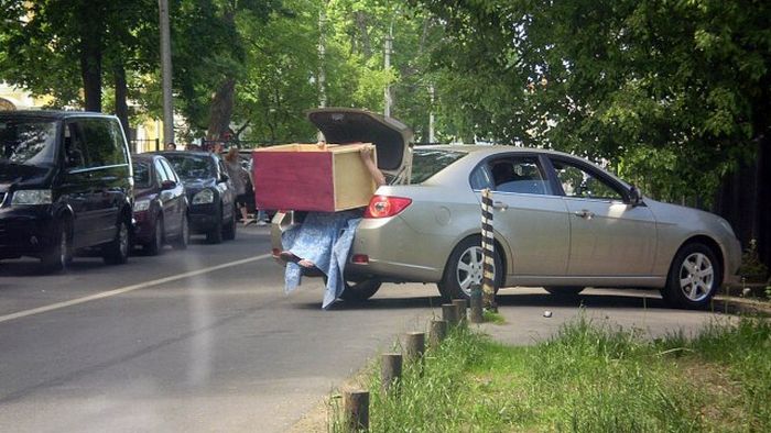Acid Picdump (119 pics)