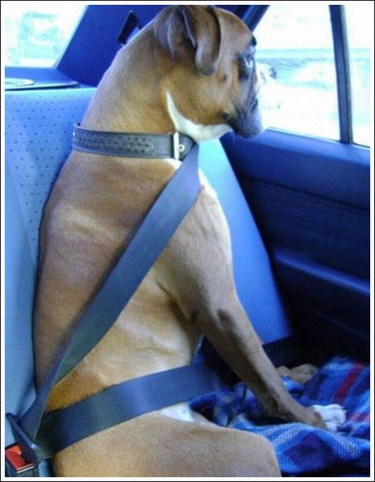 Acid Picdump (119 pics)