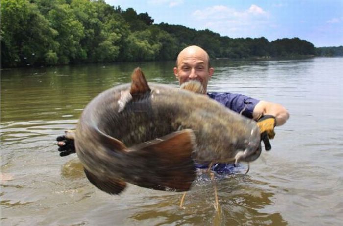 Acid Picdump (119 pics)
