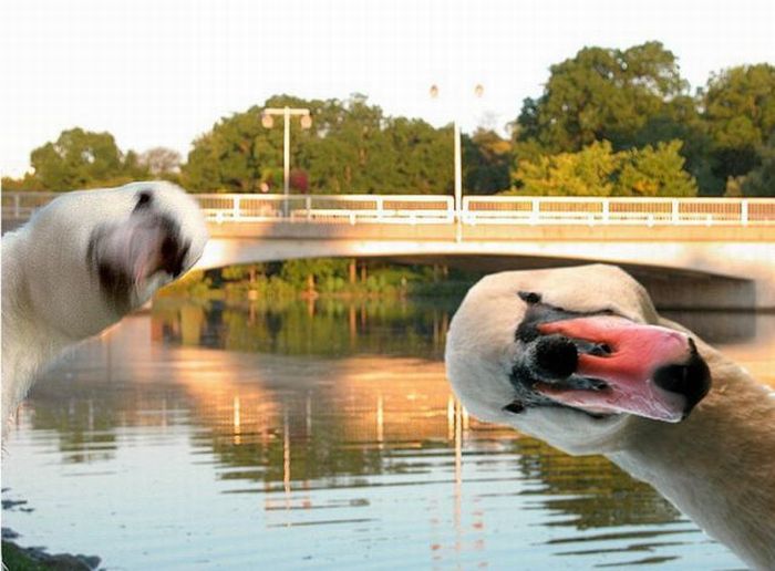 Acid Picdump (119 pics)