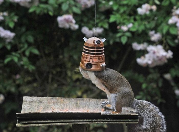 Acid Picdump (119 pics)