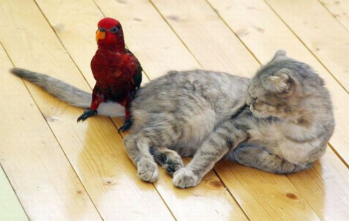 Acid Picdump (119 pics)