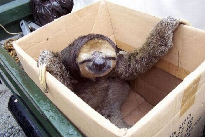 Acid Picdump (119 pics)