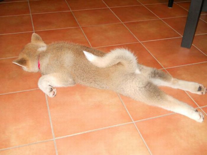 Acid Picdump (119 pics)