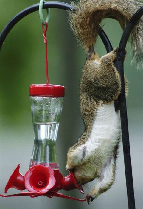 Acid Picdump (119 pics)