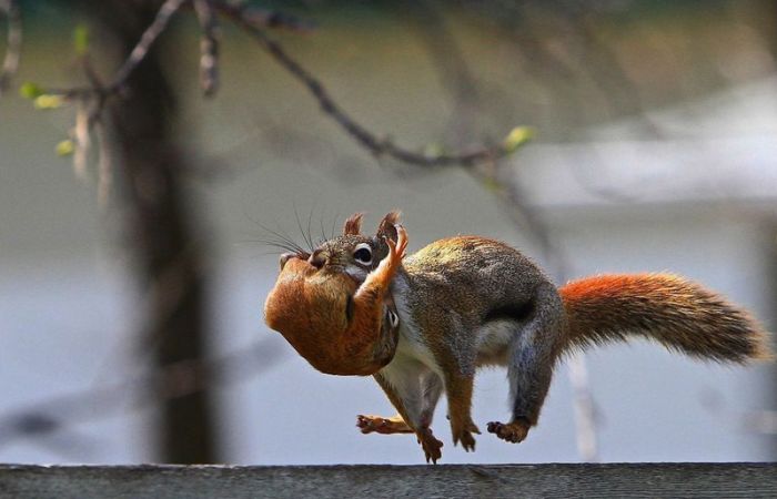 Acid Picdump (119 pics)