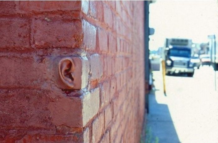 Acid Picdump (119 pics)