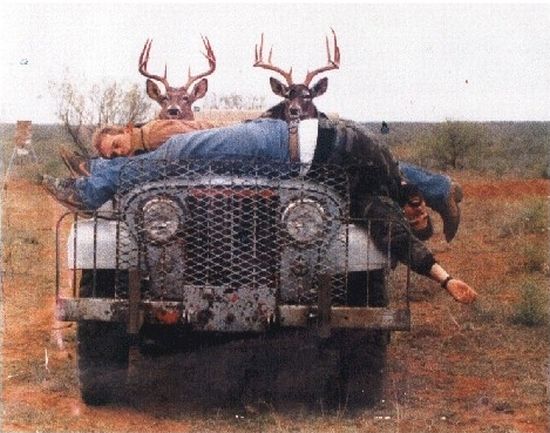 Acid Picdump (119 pics)