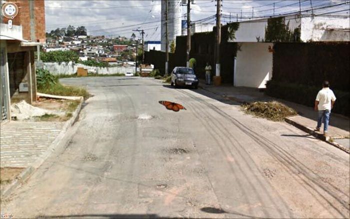 More Interesting Images Found on Google Street View (50 pics)