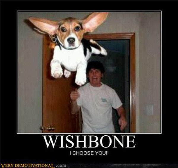 Funny Demotivational Posters (50 pics)