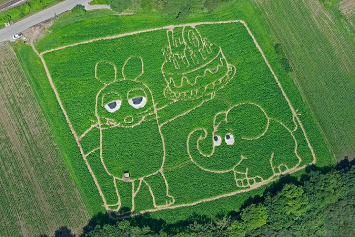 Acid Picdump (99 pics)