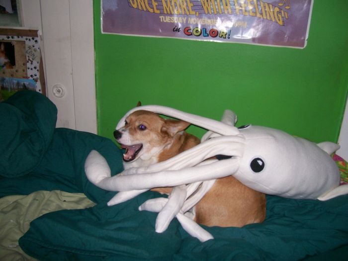 Acid Picdump (99 pics)