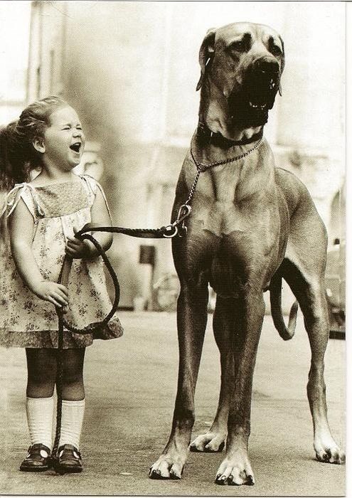 Acid Picdump (99 pics)