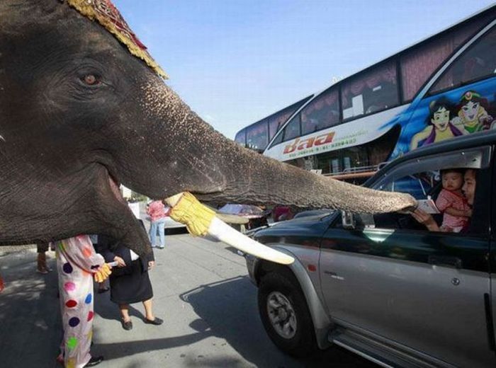 Acid Picdump (99 pics)