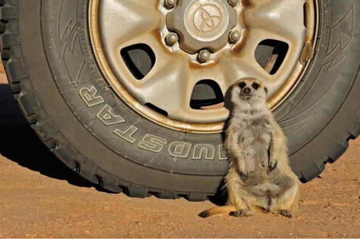 Acid Picdump (99 pics)