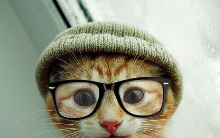 Acid Picdump (99 pics)