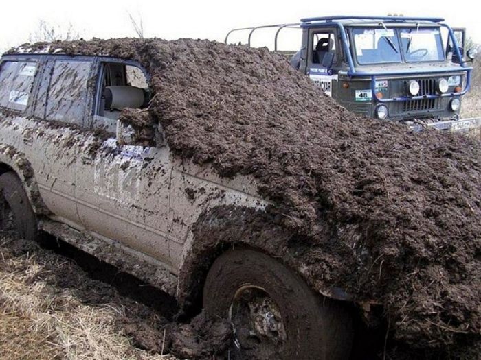 Acid Picdump (99 pics)
