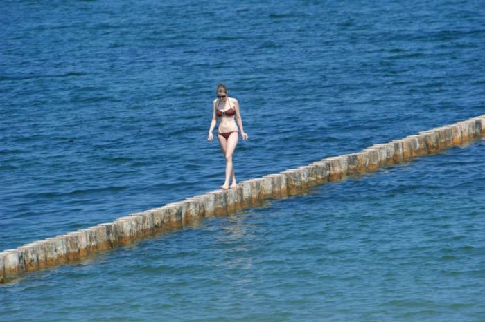 Summer Photos (16 pics)