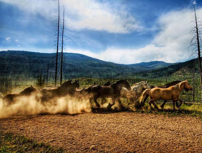 HDR Photos (40 pics)