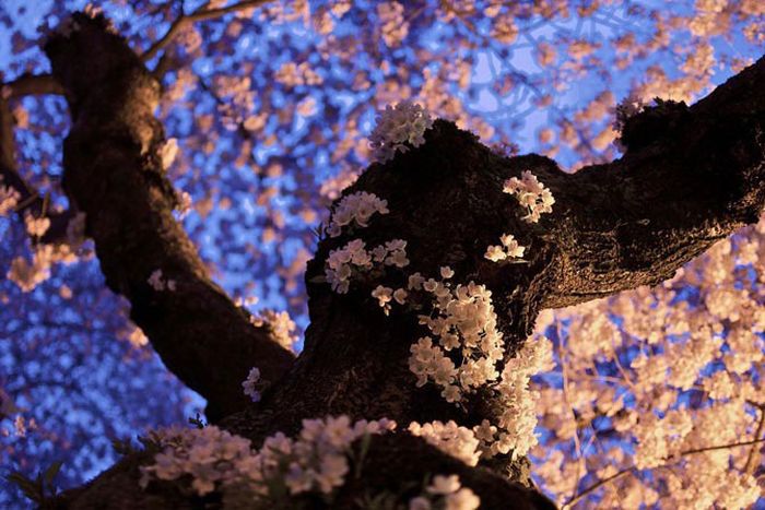 HDR Photos (40 pics)