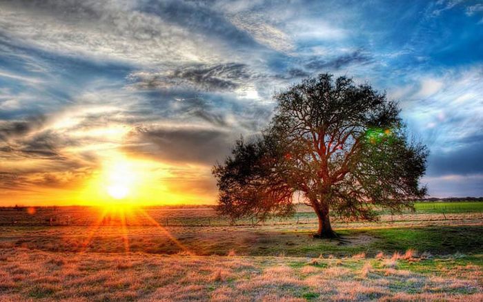 HDR Photos (40 pics)