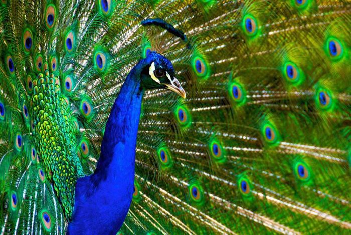 HDR Photos (40 pics)