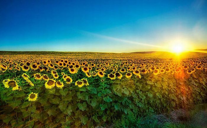 HDR Photos (40 pics)