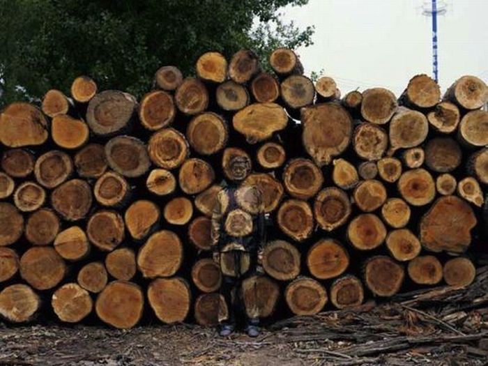 Awesome Invisible Art By Liu Bolin (61 pics)