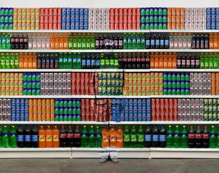 Awesome Invisible Art By Liu Bolin (61 pics)
