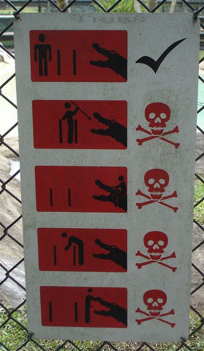 Acid Picdump (98 pics)