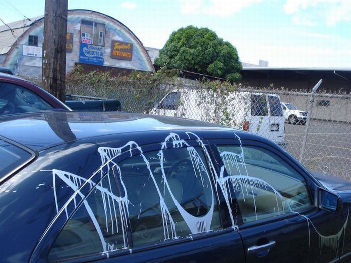 Acid Picdump (98 pics)