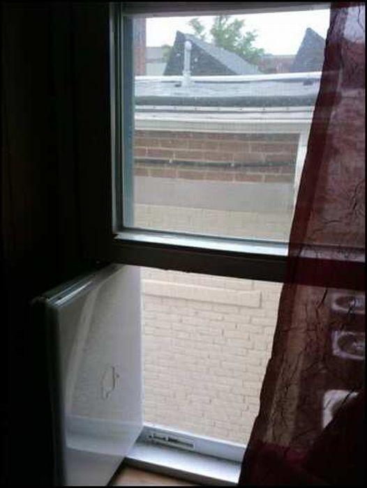 Acid Picdump (98 pics)