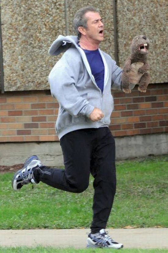 Acid Picdump (98 pics)