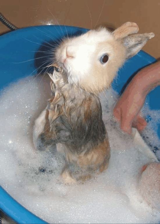 Acid Picdump (98 pics)