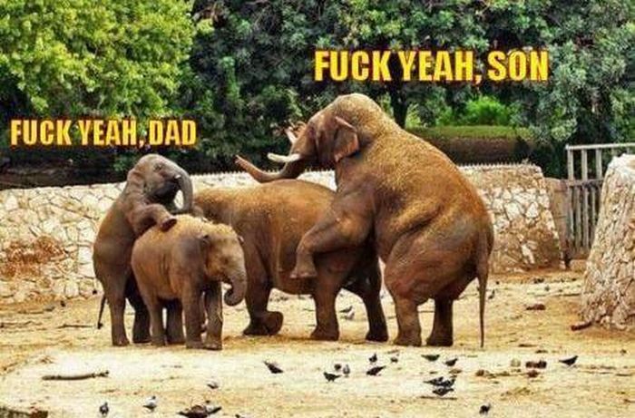 Acid Picdump (98 pics)
