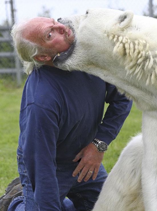 Man and a Polar Bear (6 pics)