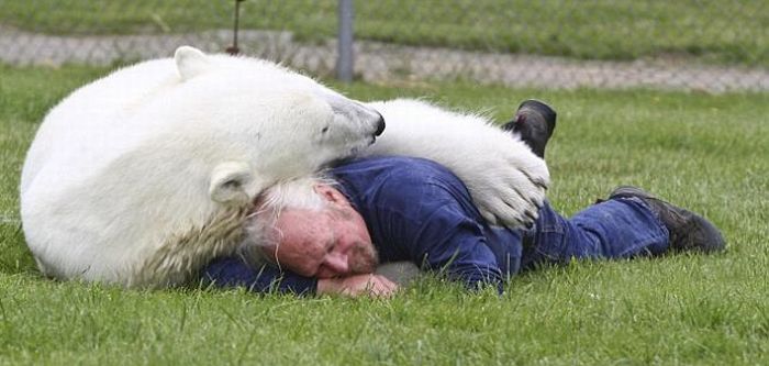 Man and a Polar Bear (6 pics)