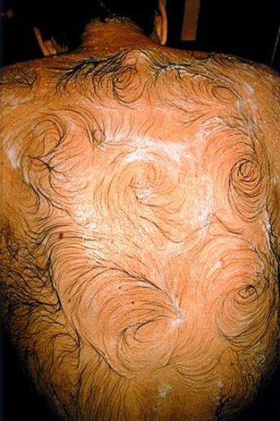 Back Hair Art (15 pics)