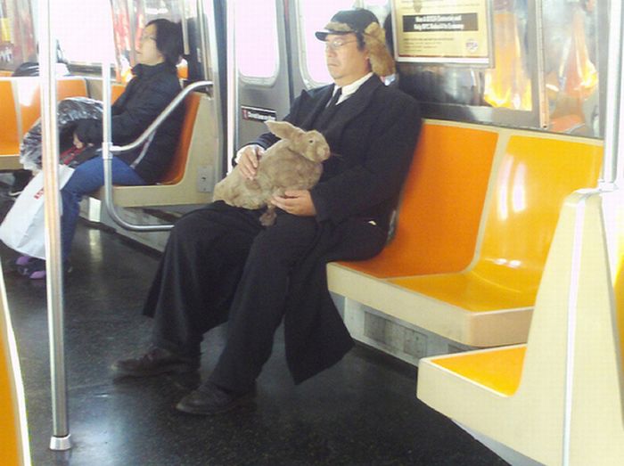 Funny and Awkward Pictures of New York City (48 pics)