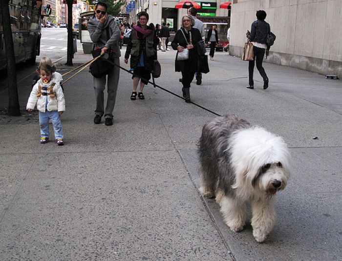 Funny and Awkward Pictures of New York City (48 pics)