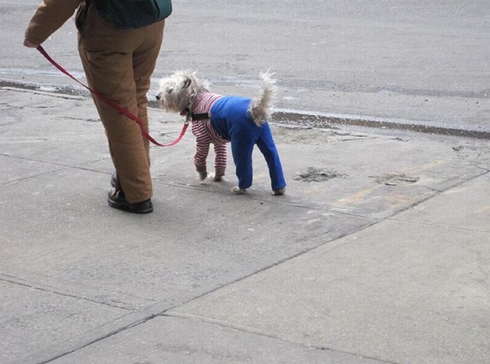 Funny and Awkward Pictures of New York City (48 pics)