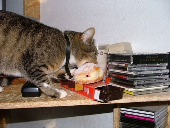 Acid Picdump (84 pics)