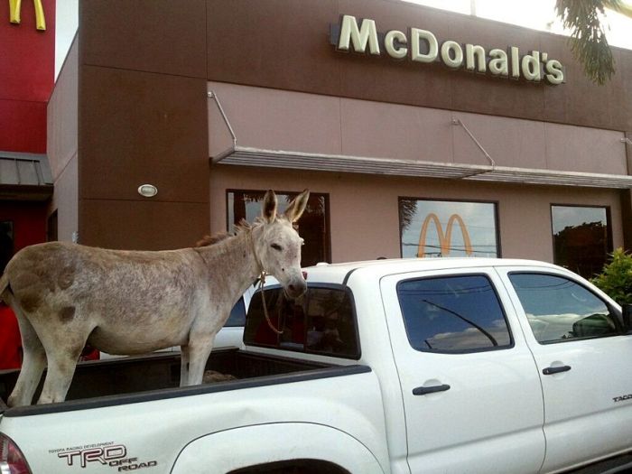 Acid Picdump (84 pics)