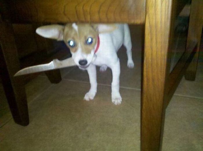 Acid Picdump (84 pics) Acid Picdump (84 pics)
