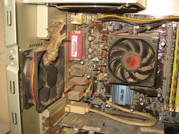 Acid Picdump (84 pics)