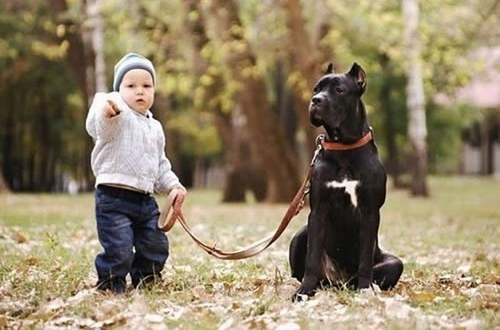 Acid Picdump (84 pics) Acid Picdump (84 pics)